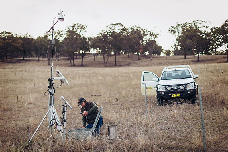 Derek Schneider in the field at UNE SMART Farms