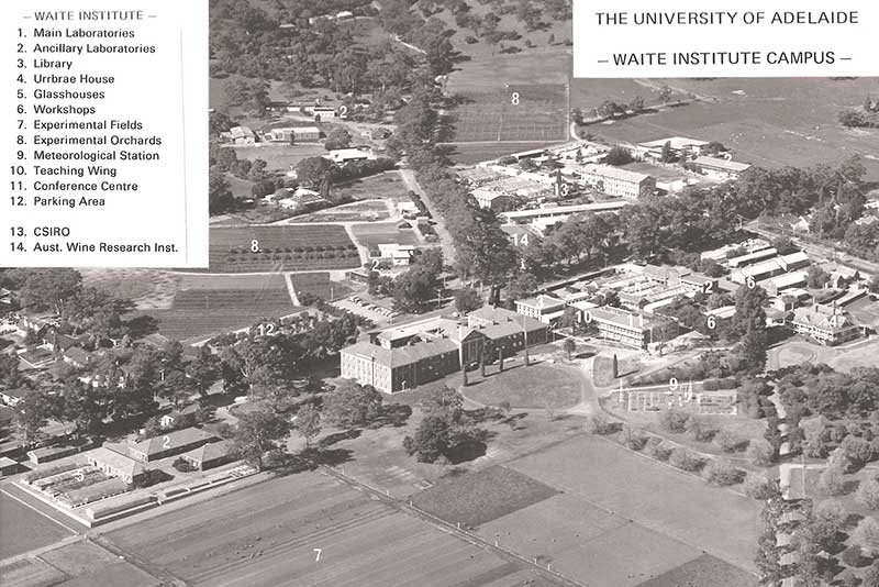 Arial view of the Waite Campus 1976, showing the experimental fields (7) where the trial was conducted