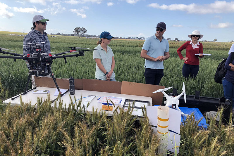 Frost trial site field day