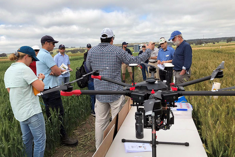 Frost trial site field day